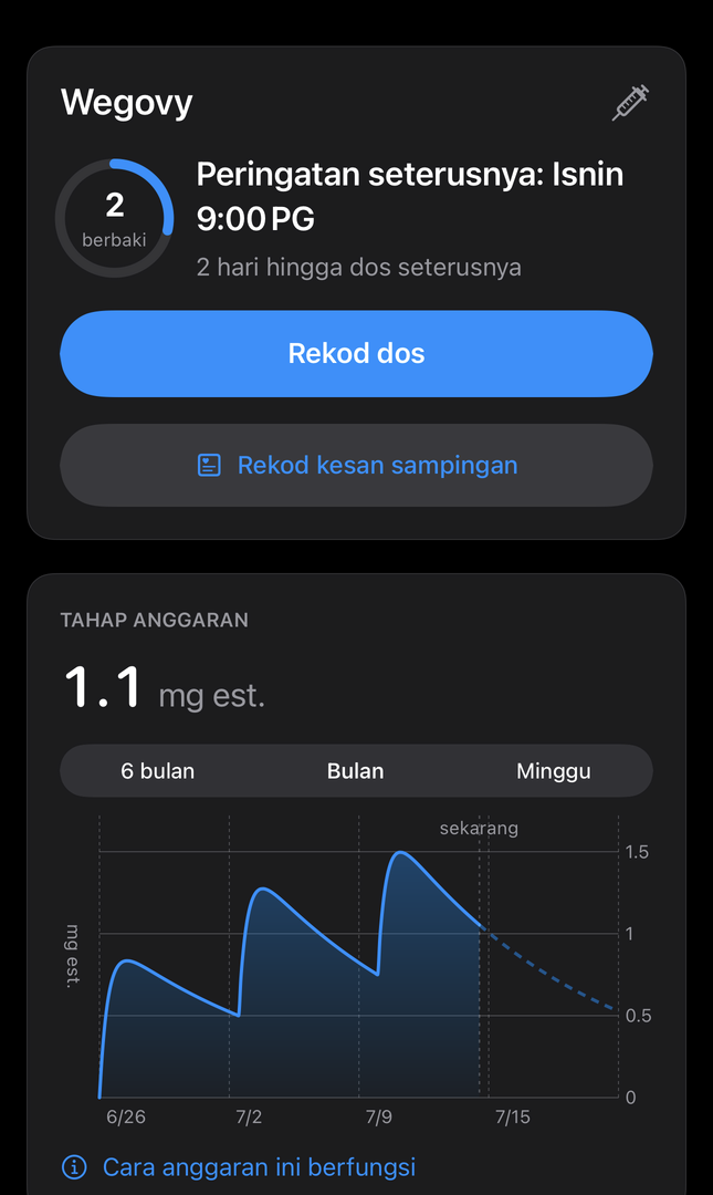 Skrin Hari Ini Dial dengan peringatan seterusnya, tahap ubat anggaran dan butang untuk merekod dos