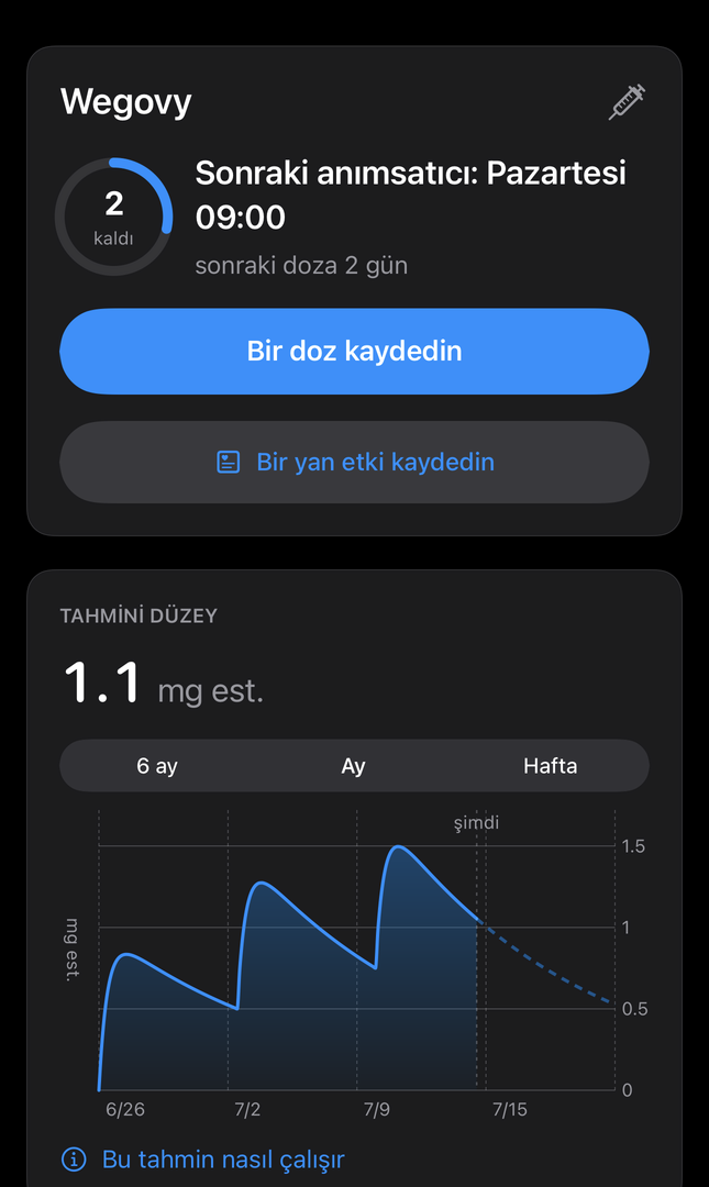 Sonraki anımsatıcı, tahmini ilaç düzeyi ve doz kaydetme düğmesiyle Dial Bugün ekranı